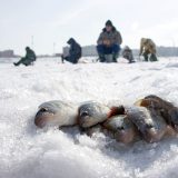 Зимняя рыбалка в Иркутске