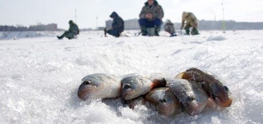 Зимняя рыбалка в Иркутске