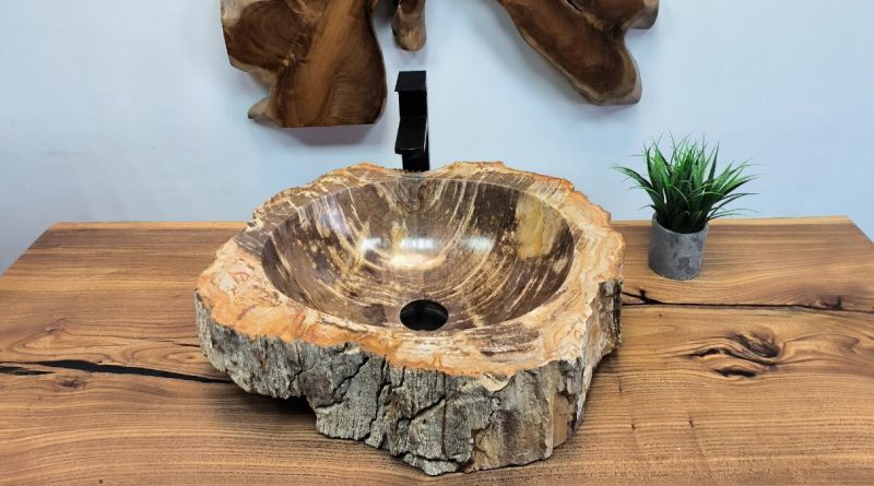 Раковина из окаменелого дерева