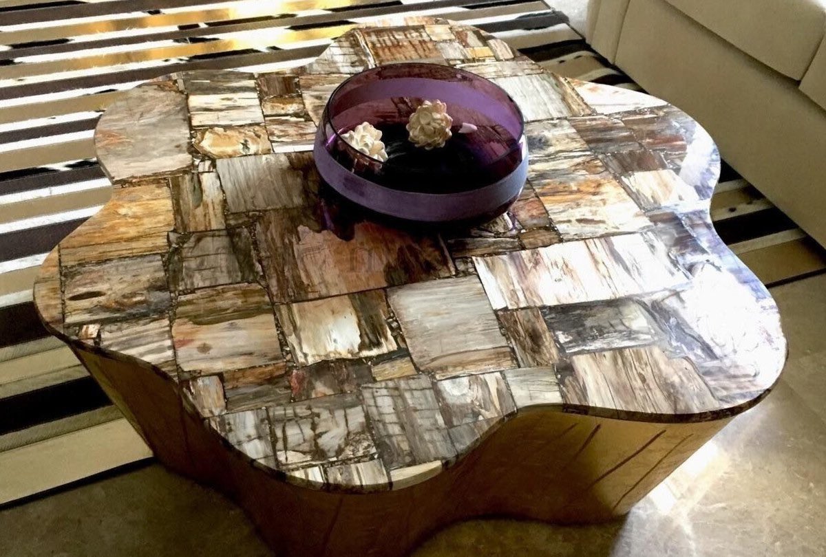 Журнальный столик из окаменелого дерева